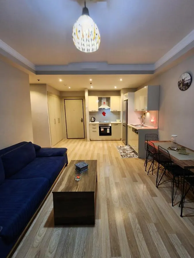 Luxury Apartment In Istanbulská provincie