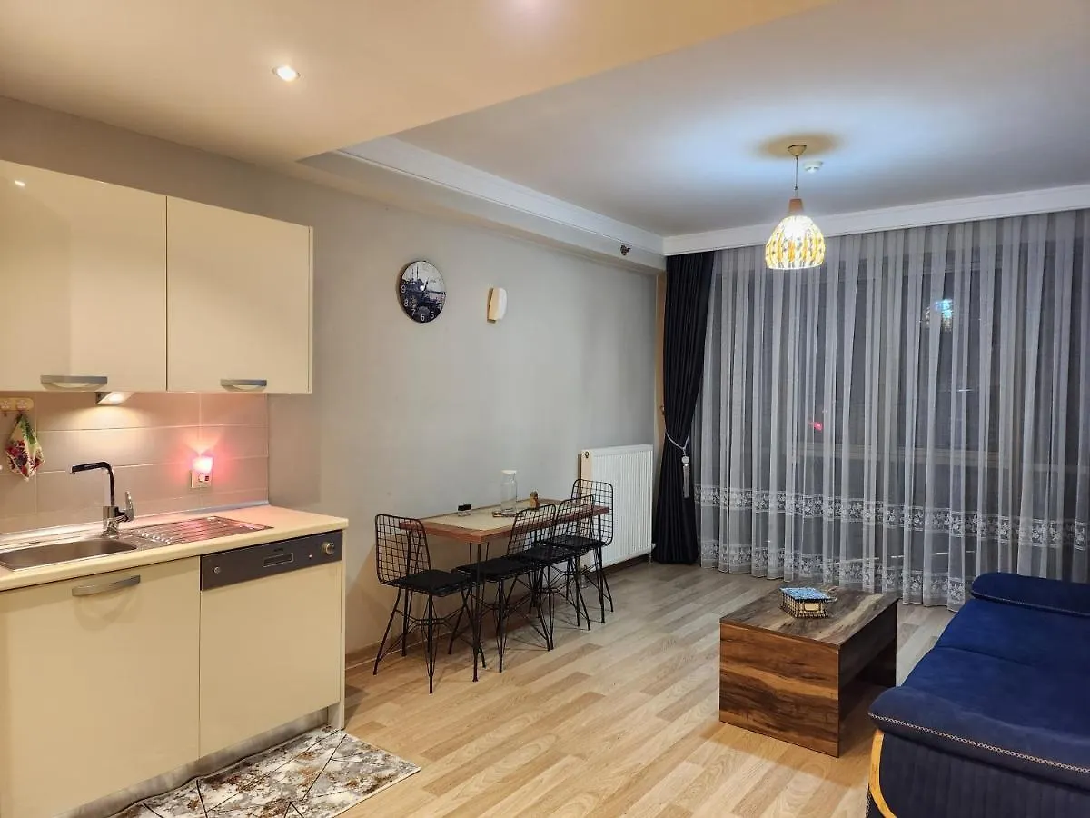 Luxury Apartment In Istanbul