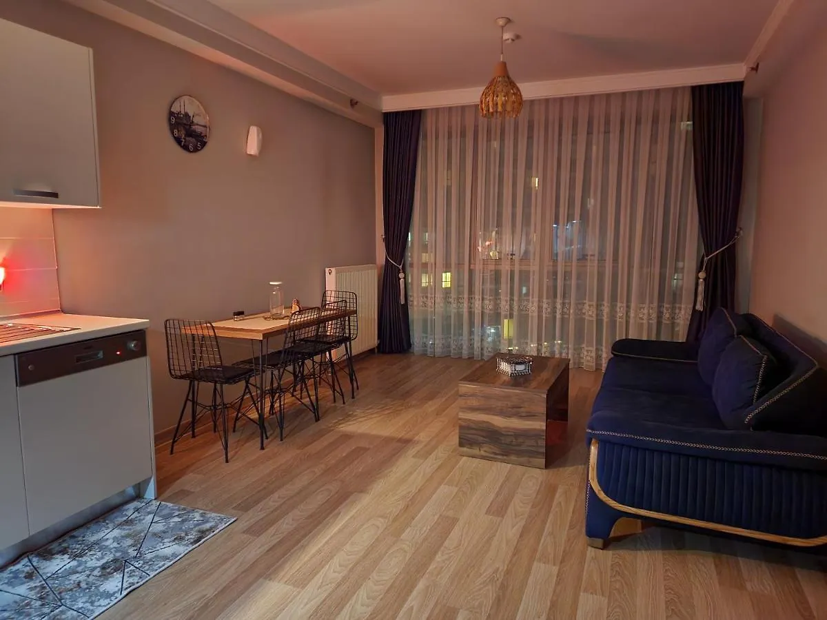 Luxury Apartment In Istanbul Turkey