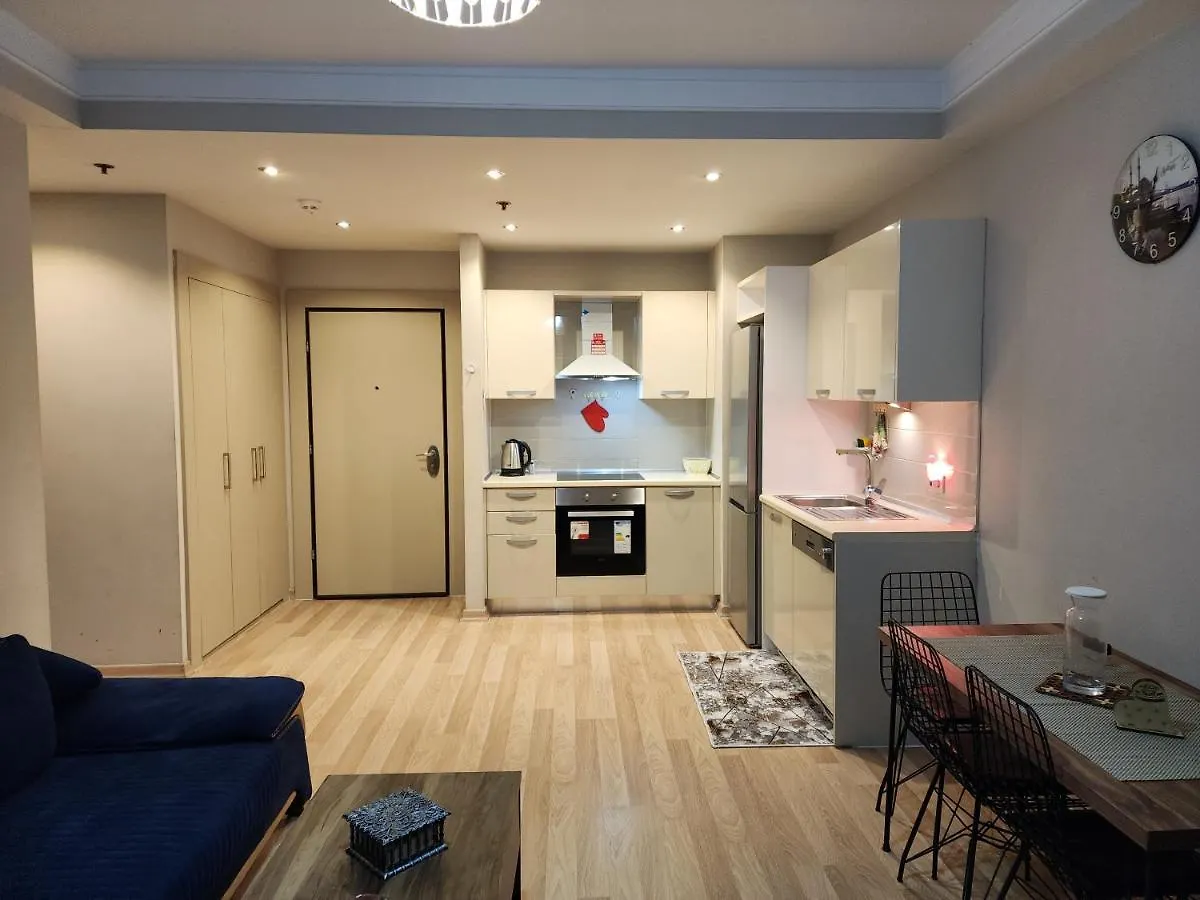 Luxury Apartment In Istanbul
