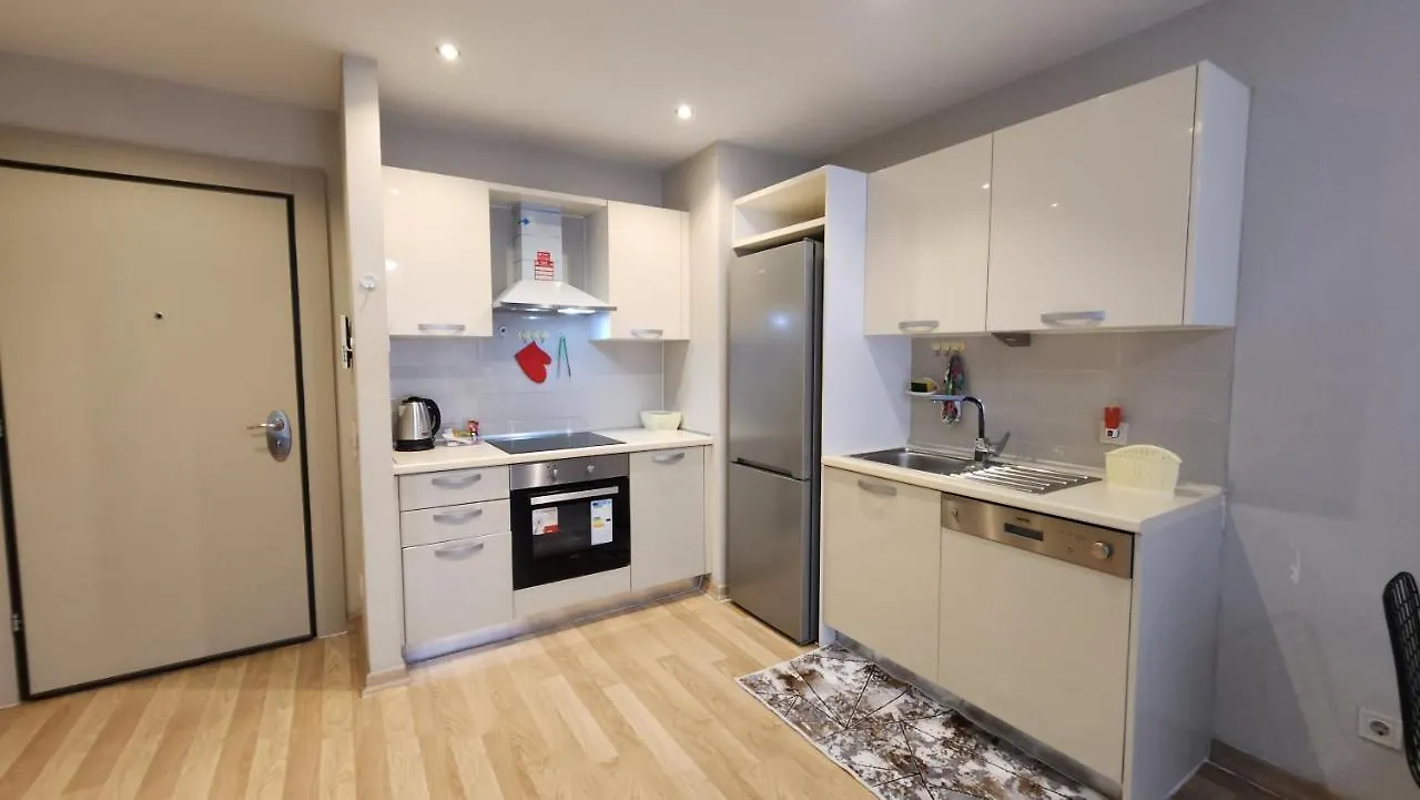 Luxury Apartment In Istanbul